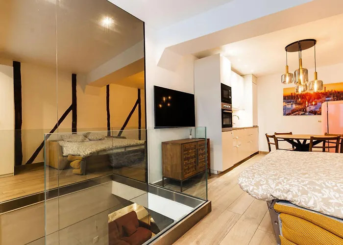 Loft 1 Bedroom Marais, Notre Dame Ac By Lcc Agency Apartamento *